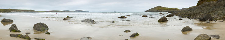 Westcoast Web Works - our software works hard so you can take it easy